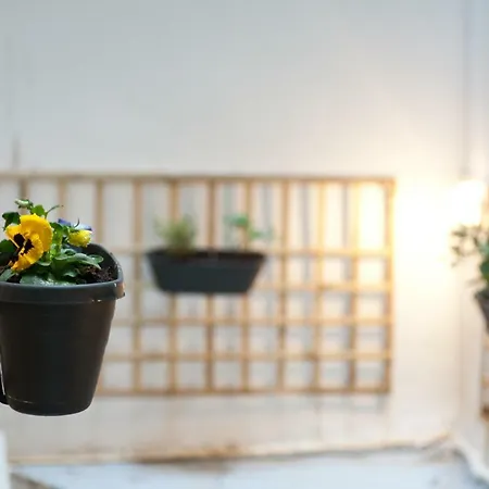 C.1 City Rose Apartamento *